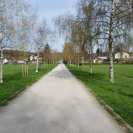 Seasons - * Ljubljana